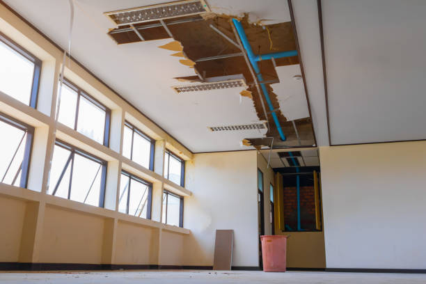 Best 24-hour water damage restoration  in Tok, AK