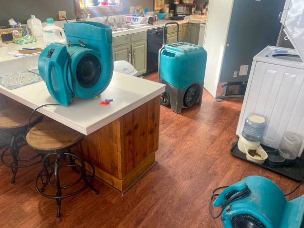 Best Water damage restoration near me  in Tok, AK