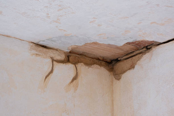 Best Water damage restoration near me  in Tok, AK