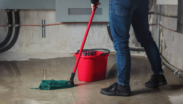Best Commercial water damage restoration  in Tok, AK