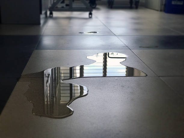 Best Water damage restoration company  in Tok, AK