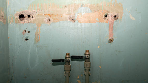 Best Carpet water damage restoration  in Tok, AK