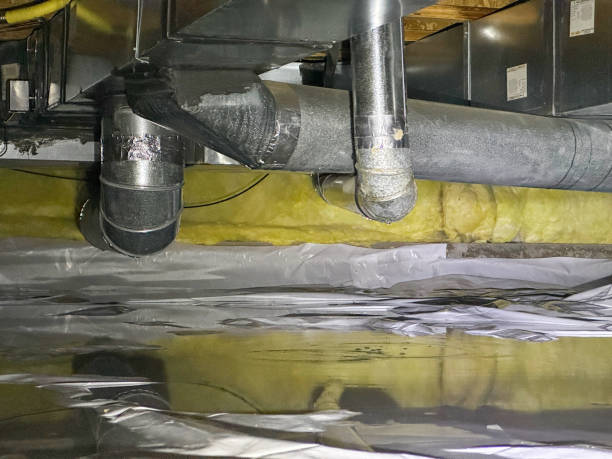 Carpet water damage restoration in Tok, AK