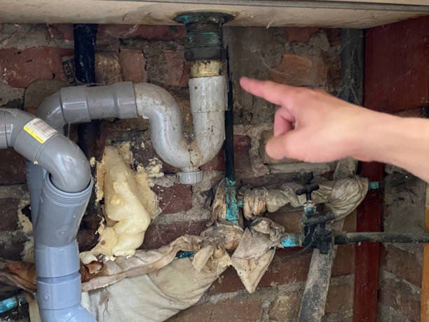  Tok, AK Water damage restoration Pros