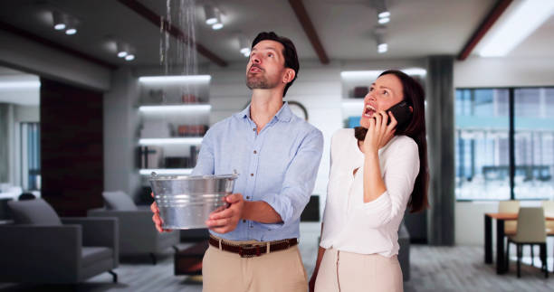 Best Local water damage restoration  in Tok, AK