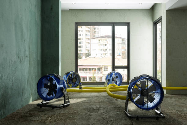 Best Water damage restoration services  in Tok, AK