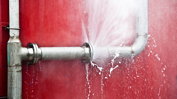 Best 24/7 water damage repair  in Tok, AK