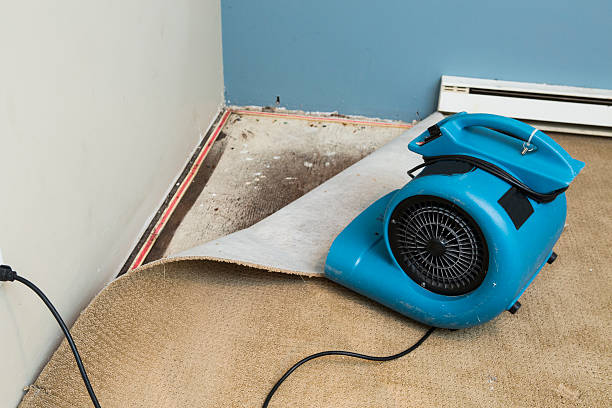 Water damage restoration mold remediation in Tok, AK